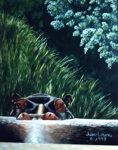 Original image